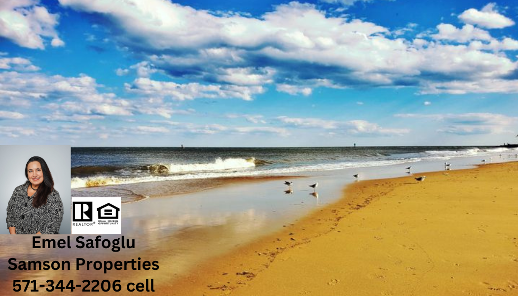 Emel Safoglu-Your Trusted Advisor and Real Estate Agent serving Maryland, Virginia and Delaware
